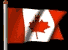 Flag of Canada - click to hear or download national anthem